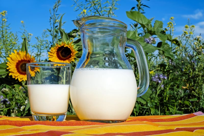 Dairy and Eggs