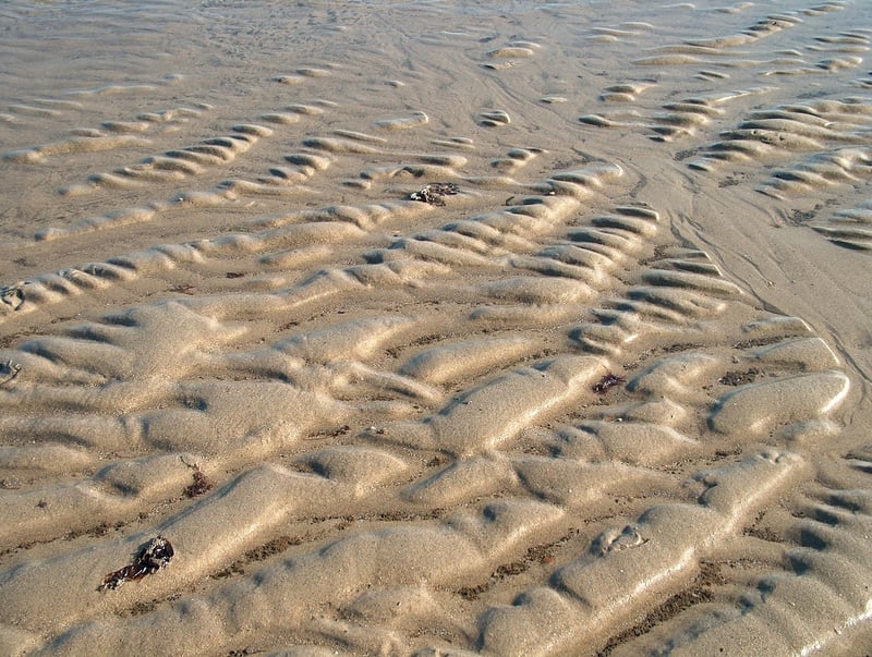 Mujadara